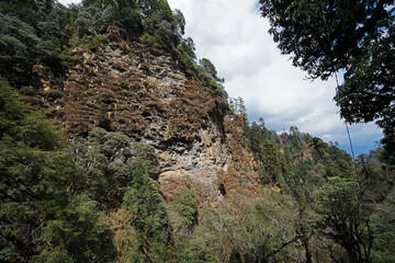 Natural landscape of rocky trail steps and trekking pathway among green forest jungle park
