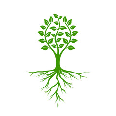 Tree of life design vector with roots