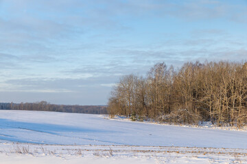 winter season with snowdrifts after snowfall
