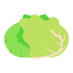 シンプルなキャベツ