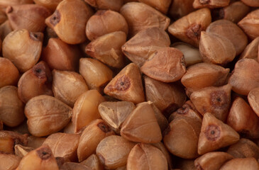 Close-up of buckwheat groats as background.