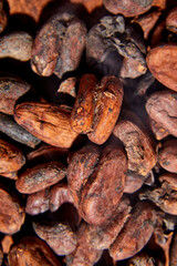 Flat lay macro unpeeled cocoa bean, top view, Whole coco