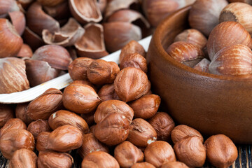 hazelnuts peeled from the shell