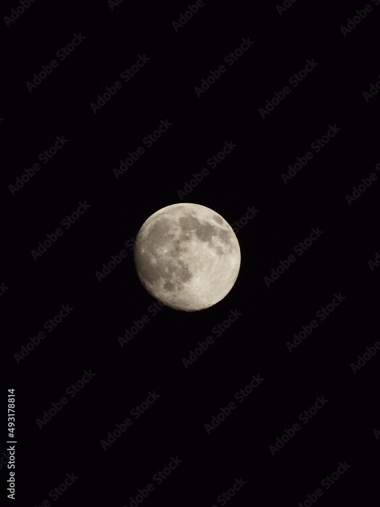 Canvas Prints close up of moon background