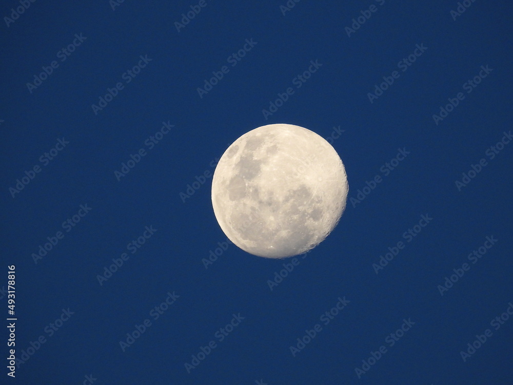 Wall mural close up of moon background