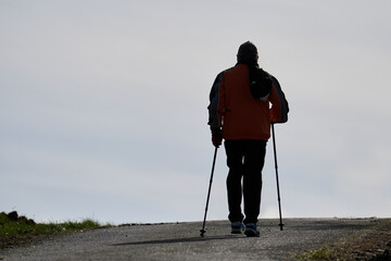 Nordic Walking durch die Felder