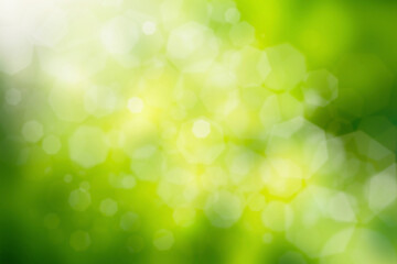 Obraz premium Natural green bokeh for background.