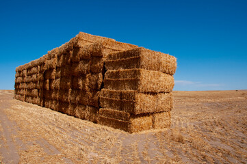 Straw Bales in the Field