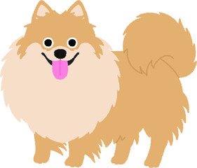 ポメラニアンの犬イラスト
