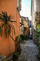 A narrow street among the old stone houses of Castellabate, town in Salerno province, Italy.	
