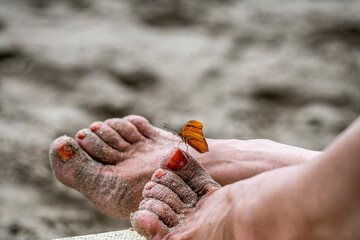 an orange butterfly sits on the leg of a woman with an orange pedicure 