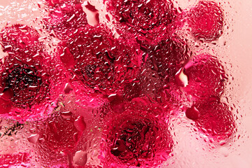 Flowers under glass with water drops. Red roses on pink background and blobs pattern