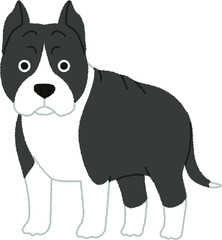 アメリカンスタッフォードシャーテリアの犬イラスト