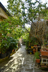 A narrow street among the old stone houses of Castellabate, town in Salerno province, Italy.