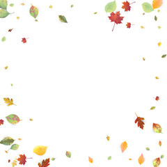 Leaves Falling Autumn Foliage Chaotic Leaf Flying