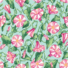 Pink bindweed pretty flowers, pattern illustration