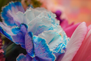 close up of a flower