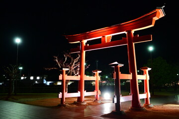 Night light