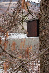 Birdhouse on a tree trunk, nest box for birds, animals habitat, environment issue, springtime 