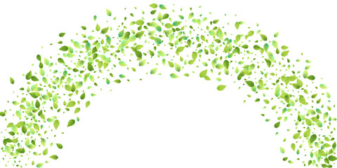 Leaves Green Falling Flying Foliage Leaf Tea Mint