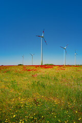 Beautiful farm landscape with meadow red and yellow flowers and wind turbines to produce green energy in Germany, Summer, at sunny day and blue sky.