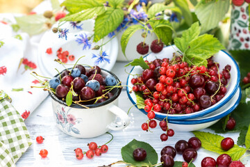 Freshly gathered red currants, cherries, raspberries, blueberries in white metal plate and cup in garden on sunny day close up, berries on white wooden table background, harvest of berries concept