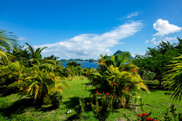 Fototapeta na wymiar Island Terre-de-Haut, Iles des Saintes, Les Saintes, Guadeloupe, Lesser Antilles, Caribbean.
