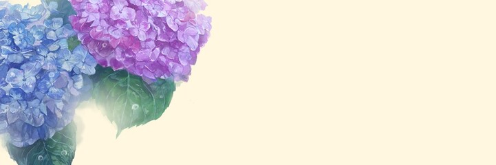 雨降る中輝く紫陽花のはなの水彩画イラストと色付き背景