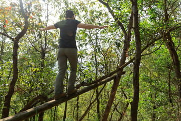 Hiker walking on a fallen tree trunk in forest