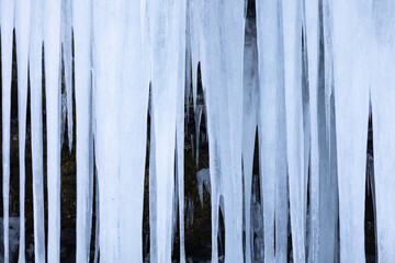 凍った氷の世界 - obrazy, fototapety, plakaty