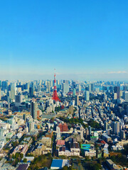 Fototapeta na wymiar A panoramic view of Tokyo city from a high point