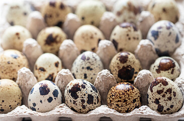 Organic farm quail eggs in paper container close up macro	