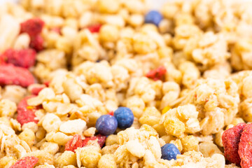 ドライフルーツ入りグラノーラ