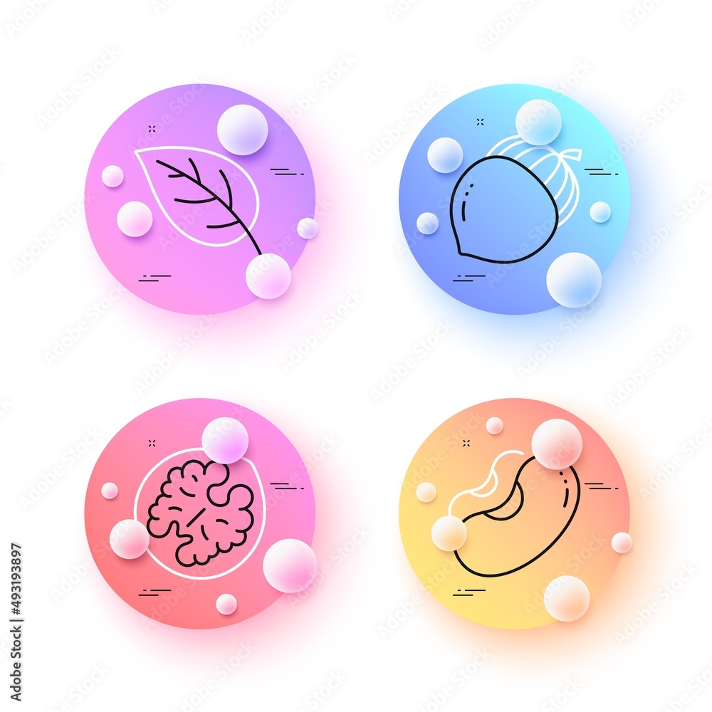 Poster beans, walnut and leaf minimal line icons. 3d spheres or balls buttons. acorn icons. for web, applic