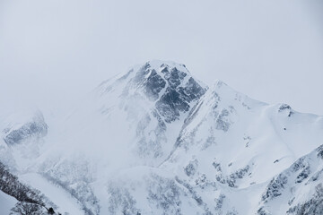 冬の風景