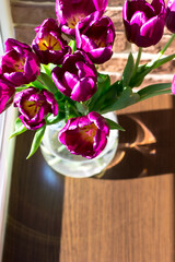 Beautiful bouquet of lilac tulips. View from above. Bouquet on the windowsill