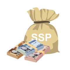 South Sudanese Pound Vector Illustration. South Sudan money set bundle banknotes. Money bag 20, 25, 50, 100 Db. Flat style. Isolated on white background. Simple minimal design.