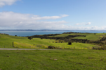 Fototapeta na wymiar Picturesque landscape with green grass hills and blue sea on background, Shakespear Regional Park, New Zealand.
