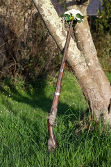 If guns were armed with flowers, the world would be more joyful.