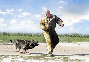 training of german shepherd