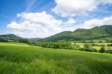 Fototapeta na wymiar Landschaft Sauerland Eslohe Wenholthausen