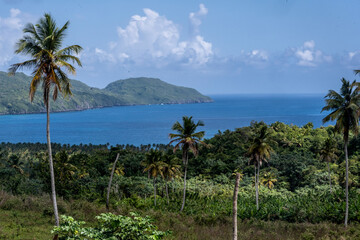 landscape with trees against the background of the sea and blue sky 