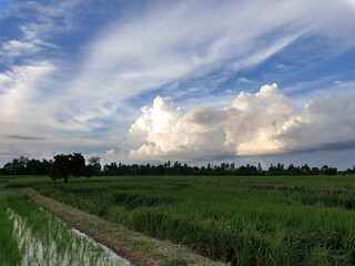 Green fields and when there are many clouds, it's about to rain.