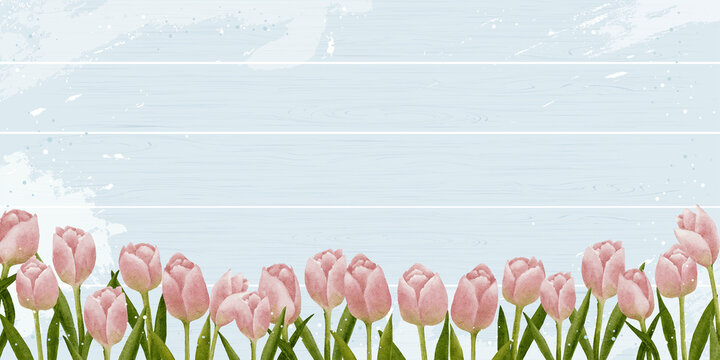 Spring background withTulips watercolour digital paint on wooden panel,Vector illustration banner pink flower blooming on wood plank texture for Summer holiday or Mother day,Wedding invitation card