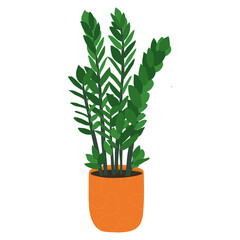 Zamioculcas potted house plant. Easy care houseplants. Natural green home decor. Flat vector illustration isolated on white background