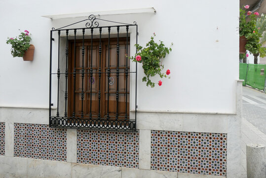 Flowering Geraniums on Corner wall