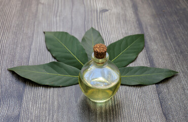Glass bottle of essential bay laurel oil with daphne leaves on wooden rustic background. Healthy...