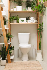 Stylish bathroom interior with toilet bowl and green plants