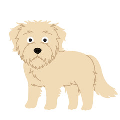 ダッチスムースホンドの犬イラスト