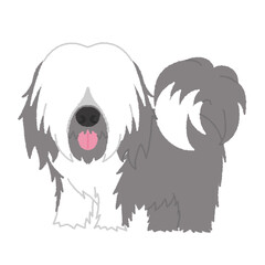 チベタンテリアの犬イラスト